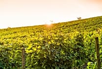 [Start-up sourcing] Agriconomie, le Amazon agricole