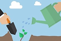 Comment Ecosia séduit ses utilisateurs