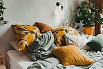 L'expert du coliving Colonies dévoile sa nouvelle plateforme de marque