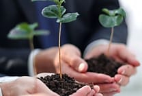 17 nouvelles entreprises s'engagent avec l'initiative Act4nature