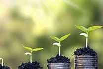 Comment l'Europe se dote d'objectifs ambitieux pour la finance durable