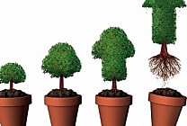 Les avantages économiques d'une chaîne d'approvisionnement durable