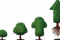 Les avantages économiques d'une chaîne d'approvisionnement durable