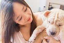 Le business des animaux : un marché en pleine expansion!
