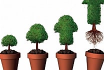 2 ans après la loi PACTE, quel bilan pour l'investissement  [...]