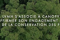 LVMH se mobilise pour la conservation des forêts