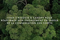 LVMH se mobilise pour la conservation des forêts