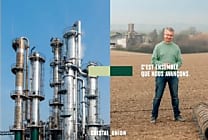Cristal Union tire un trait pour son futur