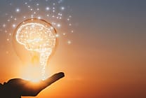 Les achats, chefs d'orchestre de l'intégration de l'innovation fournisseur