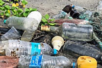 Quelles sont les marques les plus engagées pour l'environnement ?