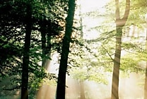 Le groupe Schmidt s'engage avec WWF