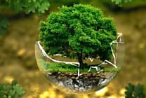 [Tribune] Marketing durable : un oxymore ?