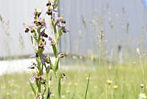 Ecoresponsabilité: qui a signé la charte du gouvernement?