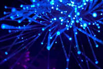 Qualité de service internet : l'Arcep face au défi de la mesure