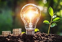 [Start-up sourcing] Planète OUI, gestionnaire d'énergie 100% verte