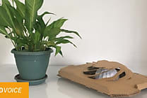 Saica Pack, des solutions d'emballages innovantes
