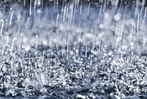 Tascom : la douche froide pour les entreprises