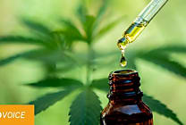 Le boom du marché du CBD en ligne