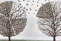 Investir dans la maturité financière de votre entreprise post  [...]