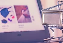 Les Français privilégient les sites spécialistes pour leurs  [...]