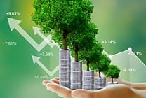 Finance verte : où placer sa trésorerie ?