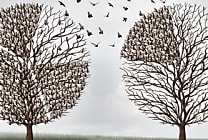 La déclaration de créance ou comment faire valoir ses droits à  [...]