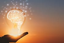 Développer ses compétences en innovation ouverte collaborative