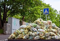 Éviter le gaspillage alimentaire grâce aux courses en ligne