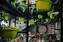 Start-up à impact : un écosystème en croissance