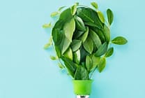 Sobriété énergétique : les collectivités mobilisées pour l'hiver
