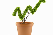 Coter ses émissions vertes : une (vraie) bonne idée?
