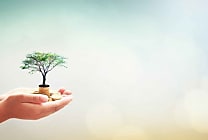 Achats responsables : un engagement de plus en plus fort