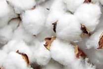 Industrie textile : 'L'étiquette made in Portugal a plus de sens'