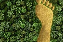 5 questions autour de la taxonomie verte et de la finance durable