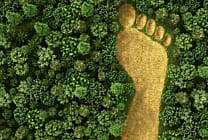 5 questions autour de la taxonomie verte et de la finance durable
