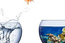 Faites confiance à la fonction finance pour créer de nouvelles  [...]