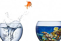 Faites confiance à la fonction finance pour créer de nouvelles opportunités  [...]