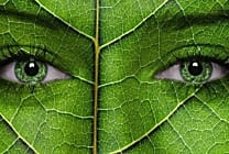 Green IT : comment l'UE veut faire évoluer la directive écoconception