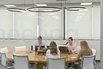 E-voluciona, le pôle conseil-innovation d'Intelcia arrive en France