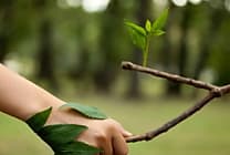 Quelle place pour la finance dans la transition écologique ?