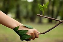 Quelle place pour la finance dans la transition écologique ?