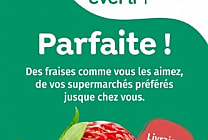 [La Créa du retail] « On adore faire vos courses », nouvelle  [...]