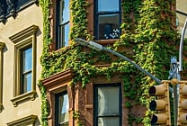 Assurer son logement : pourquoi opter pour une assurance habitation digitale ?