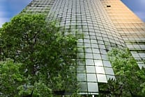 Impact carbone : la réponse de l'aménagement de bureaux