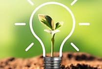 Développement durable : les clauses vertes s'imposent dans les  [...]