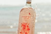 Comment Château Galoupet (LVMH) casse les codes du packaging ?