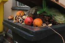 [Etude] Combien coûte le gaspillage alimentaire aux Français ?