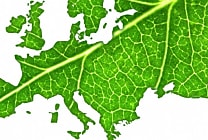 La taxonomie, une étape décisive vers la neutralité carbone