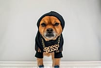 Le Luxe : en quête d'un lien d'exception !