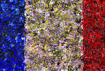 Cybermenace : un panorama ANSSI à volume réduit mais à périmètre étendu
